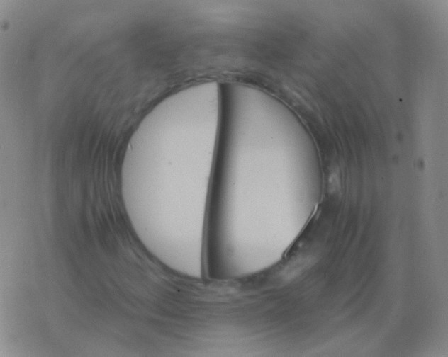 X0000076451156200610202328