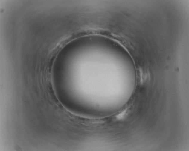 X0000076451157200610202328