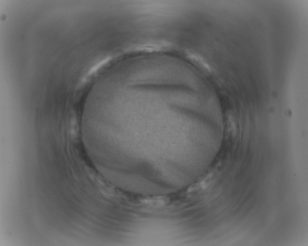 X0000076451158200610202327