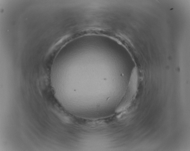 X0000076451159200610202327