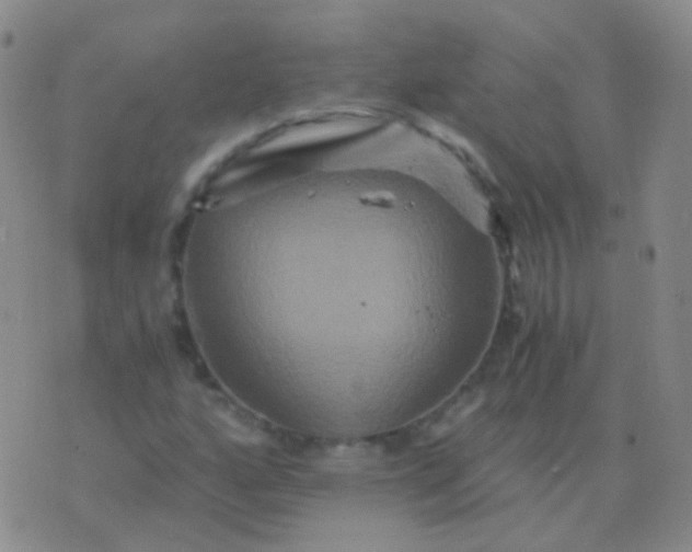 X0000076451160200610202327