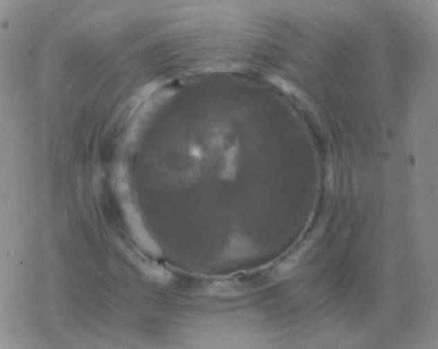 X0000076451161200610202327