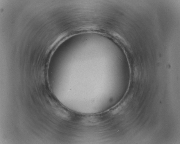 X0000076451162200610202327