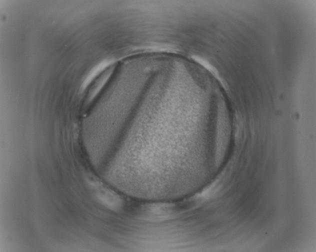 X0000076451163200610202327