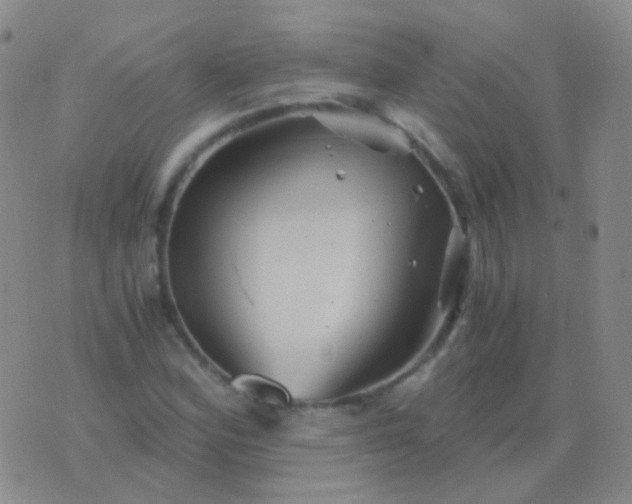 X0000076451164200610202327