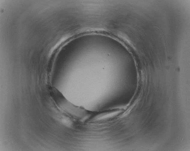 X0000076451165200610202327