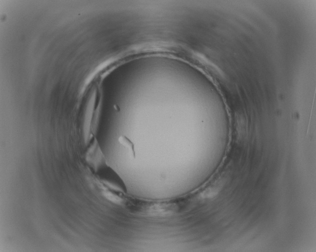 X0000076451166200610202327