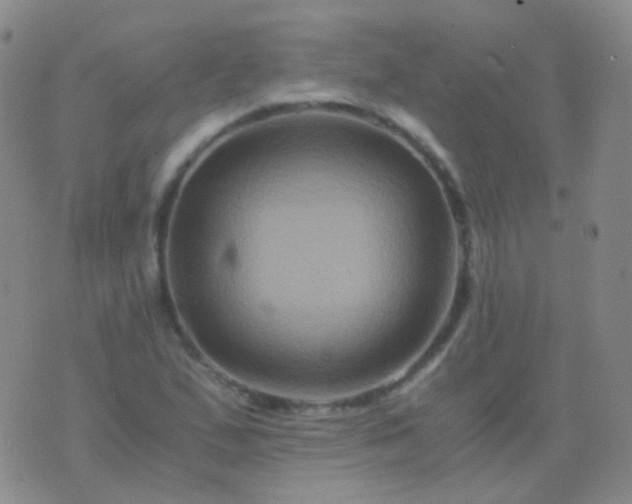 X0000076451167200610202327