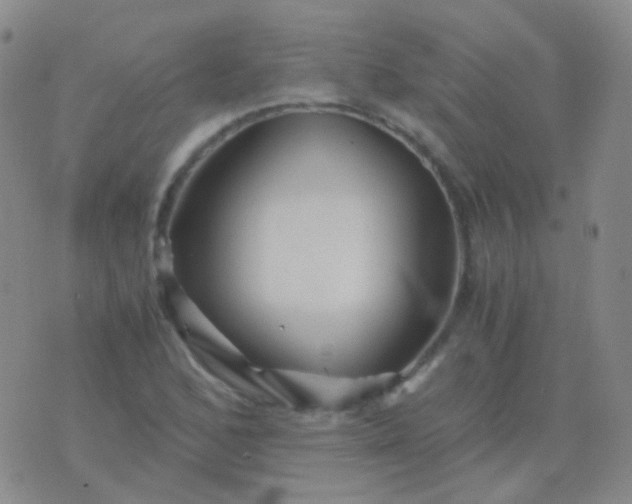 X0000076451168200610202327