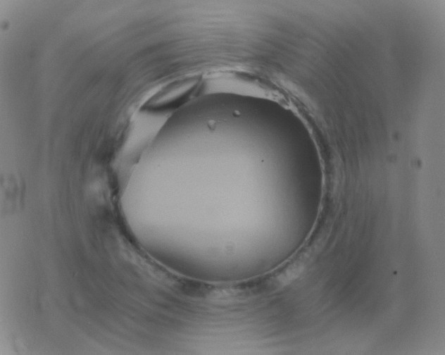 X0000076451169200610202327