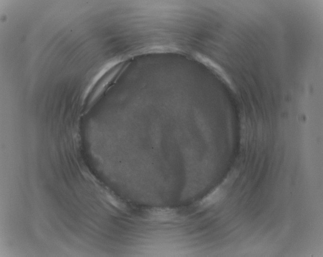 X0000076451170200610202327