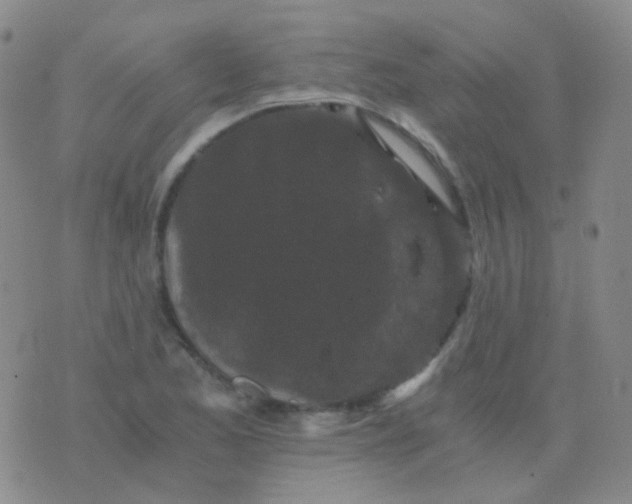 X0000076451173200610202327