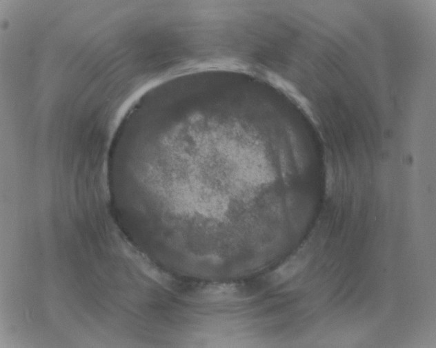 X0000076451174200610202327