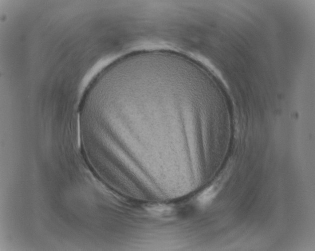 X0000076451175200610202327