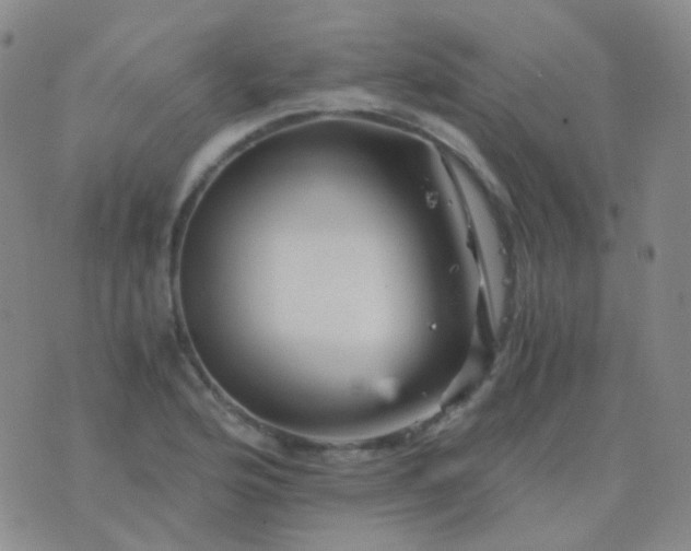 X0000076451176200610202327