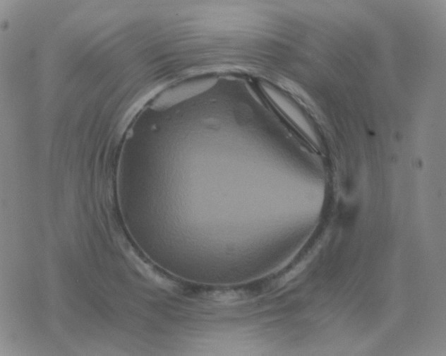 X0000076451177200610202327