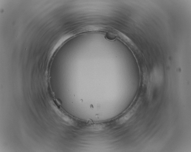 X0000076451178200610202327