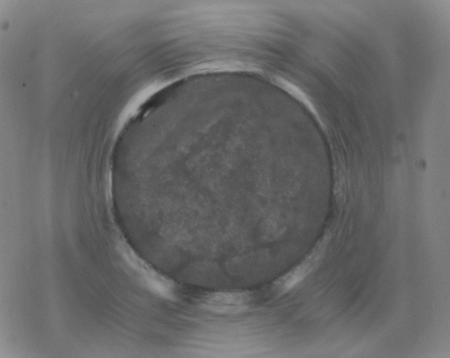 X0000076451179200610202327