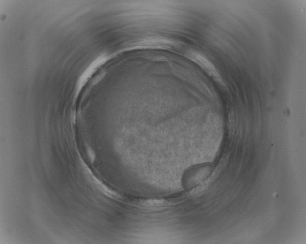 X0000076451180200610202327