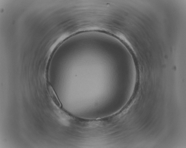 X0000076451181200610202327