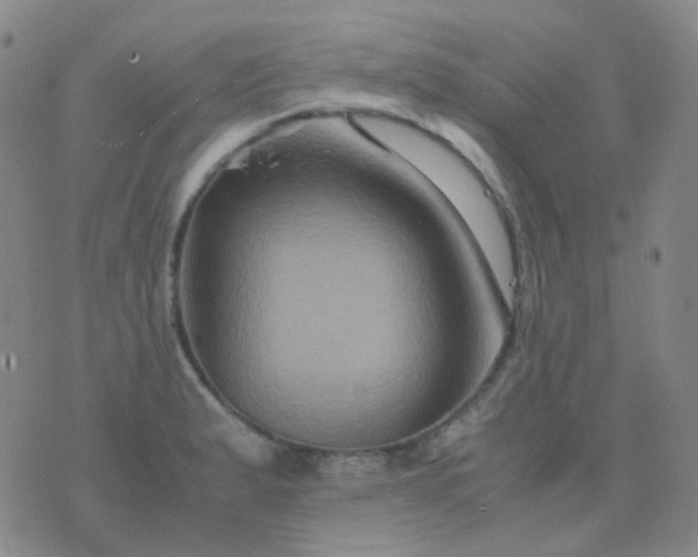 X0000076451183200610202327