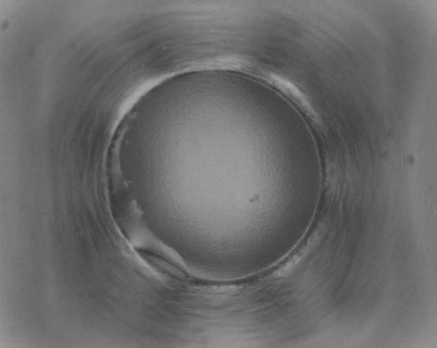 X0000076451184200610202327