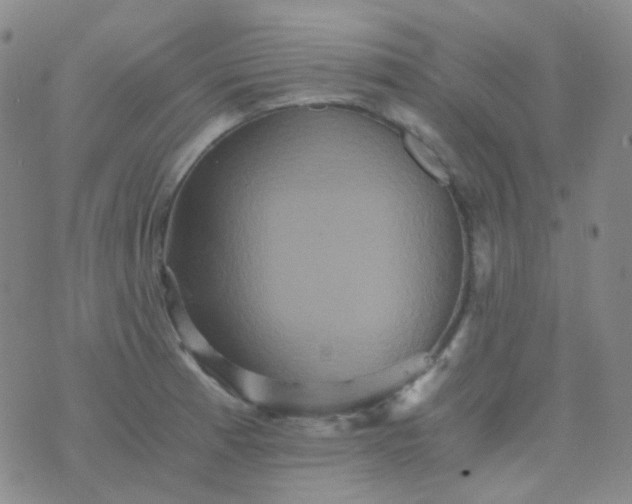 X0000076451185200610202327