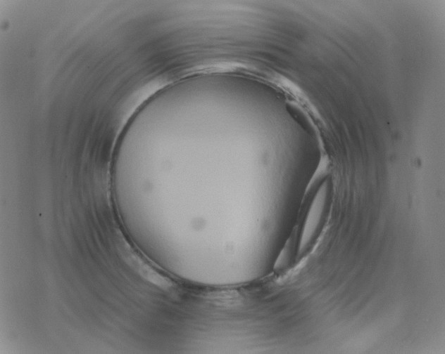 X0000076451186200610202327