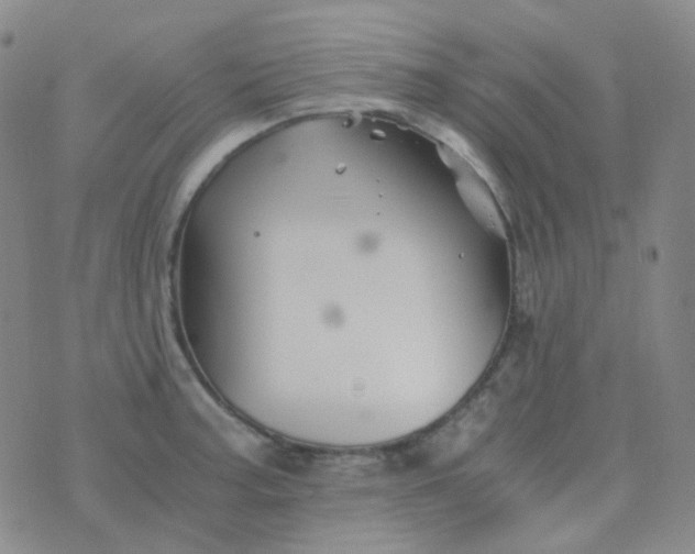 X0000076451187200610202327