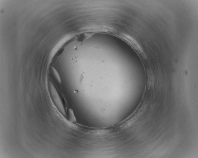 X0000076451188200610202327