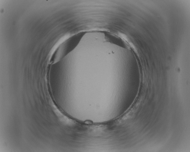 X0000076451189200610202327