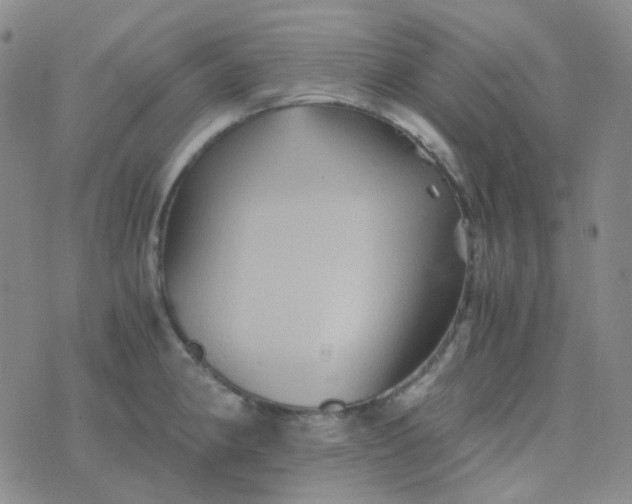 X0000076451190200610202327