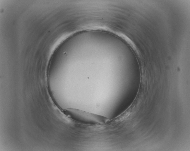 X0000076451191200610202327