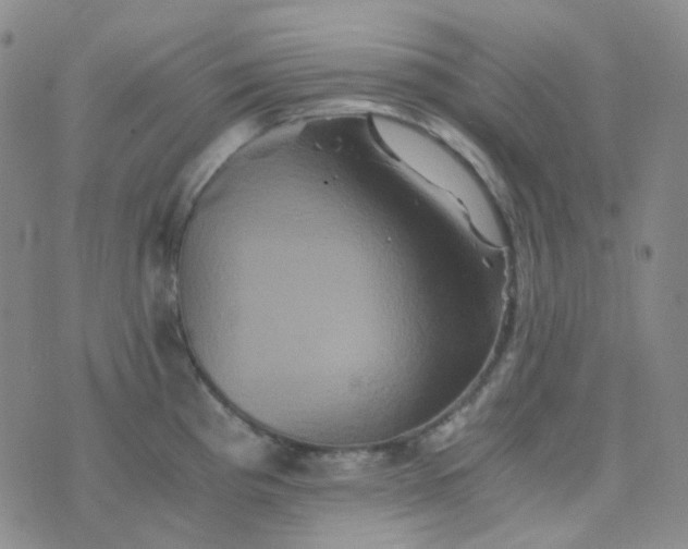 X0000076451193200610202327