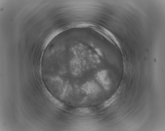 X0000076451194200610202327