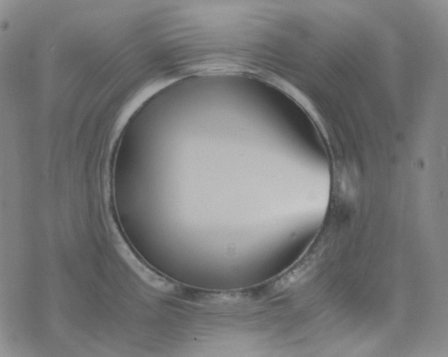 X0000076451195200610202327