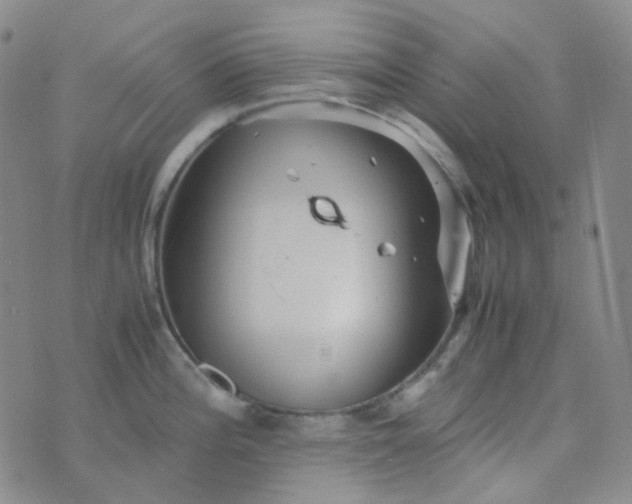 X0000076451196200610202327