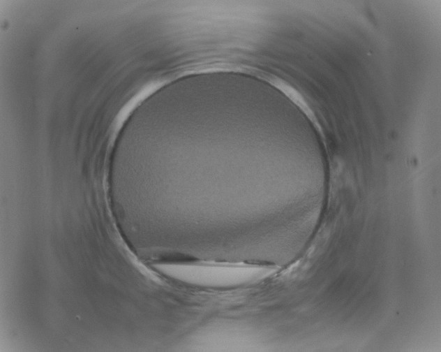 X0000076451197200610202327