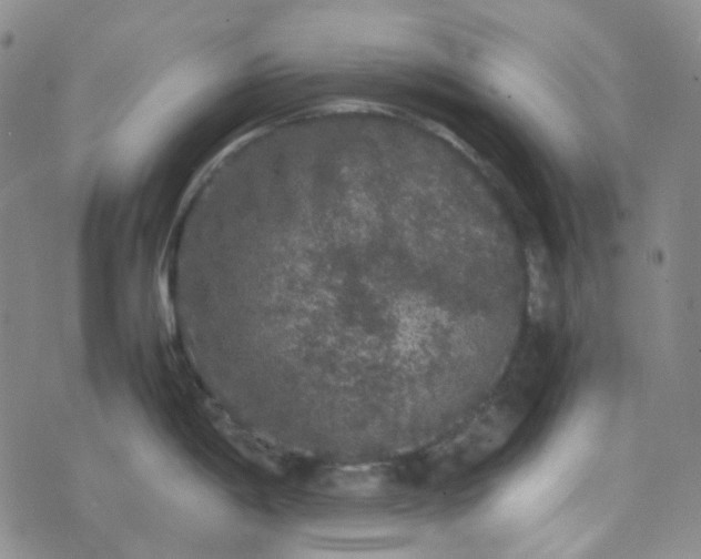 X0000076451198200610202327