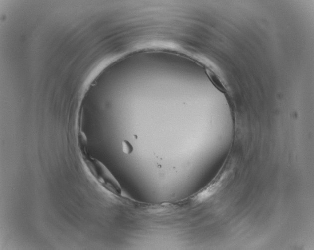 X0000076451199200610202327