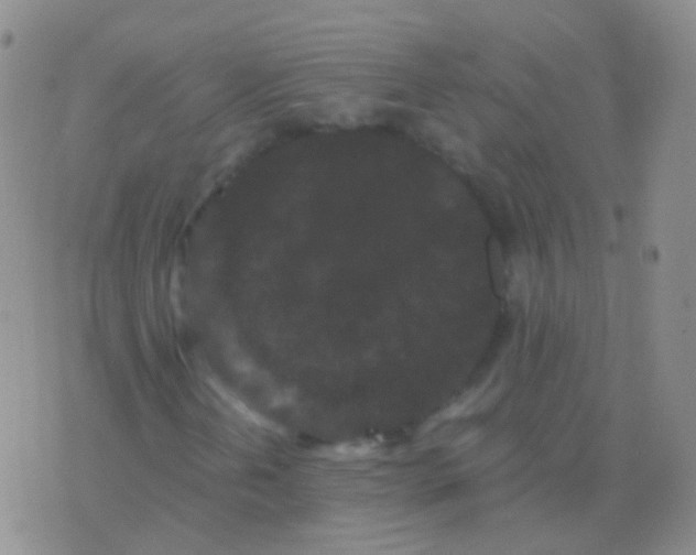 X0000076451202200610202326