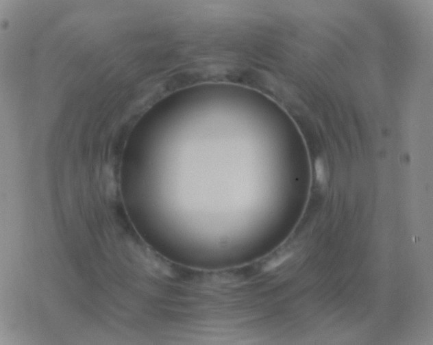 X0000076451203200610202326