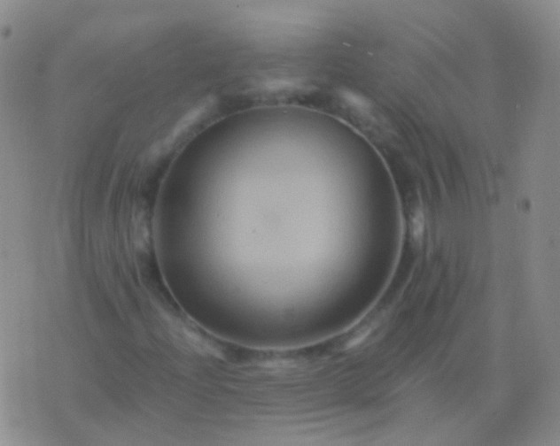 X0000076451204200610202326