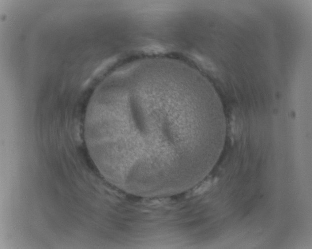 X0000076451205200610202326