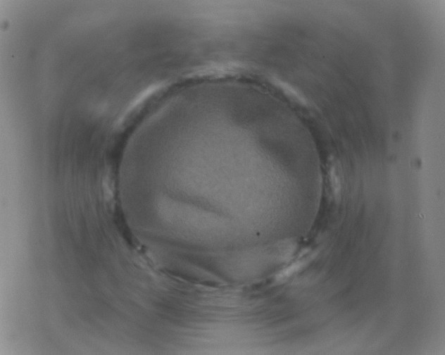 X0000076451206200610202326