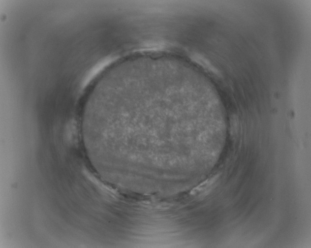 X0000076451208200610202326