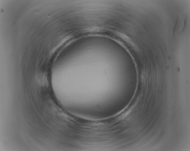 X0000076451209200610202326