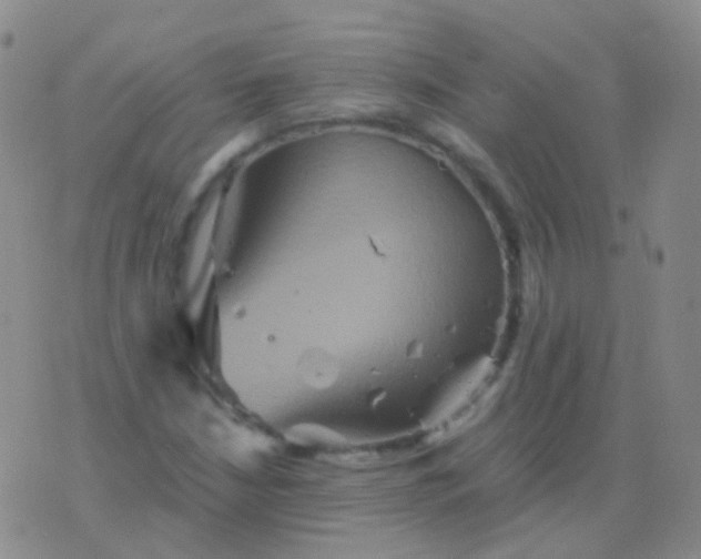 X0000076451210200610202326