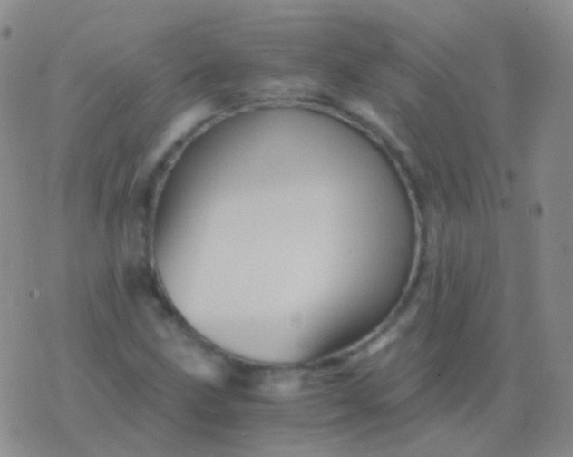 X0000076451211200610202326