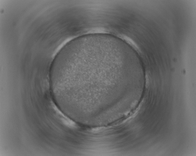 X0000076451212200610202326